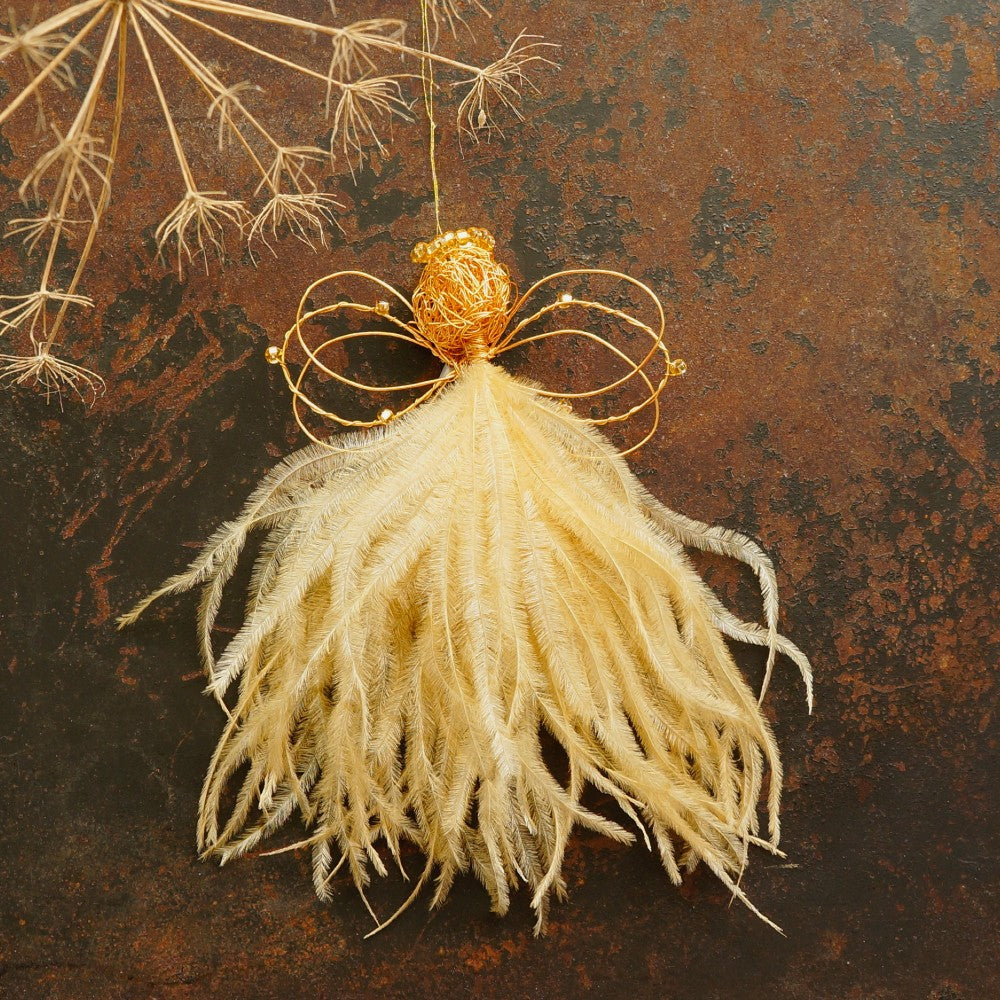 Angel Natania - Aarde Range