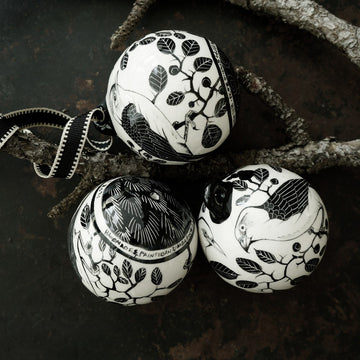 Black Bird Design