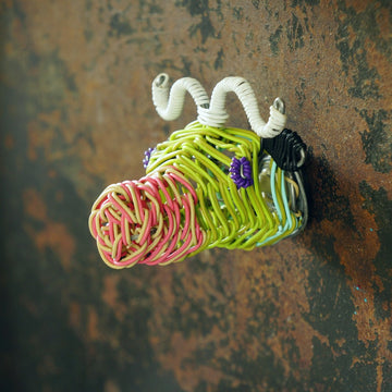 Buffalo Magnet
