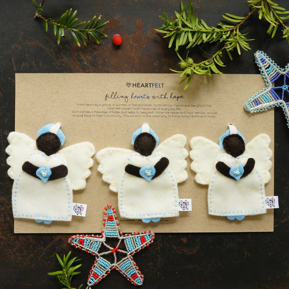 African Angel Trio in Blue and Cream