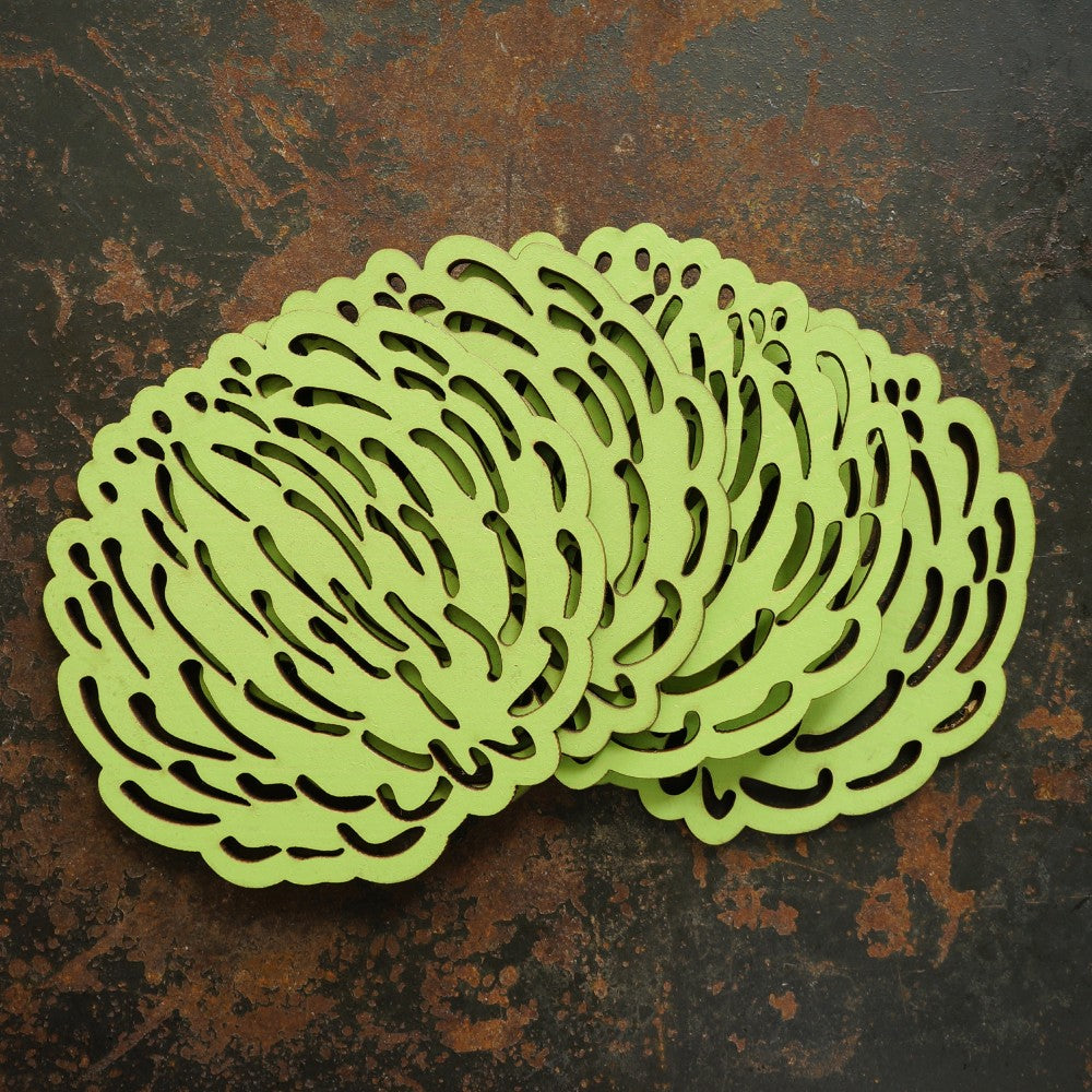 Green Pincushion Protea Coasters - Set of 4