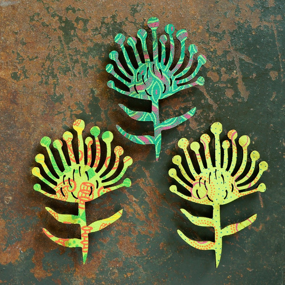 Pincushion Protea Magnets