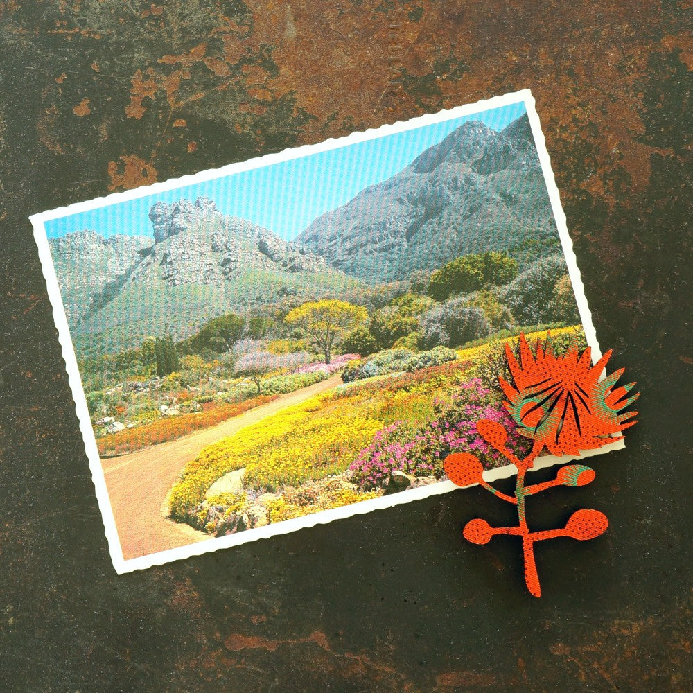 Protea Shweshwe Wooden Magnet