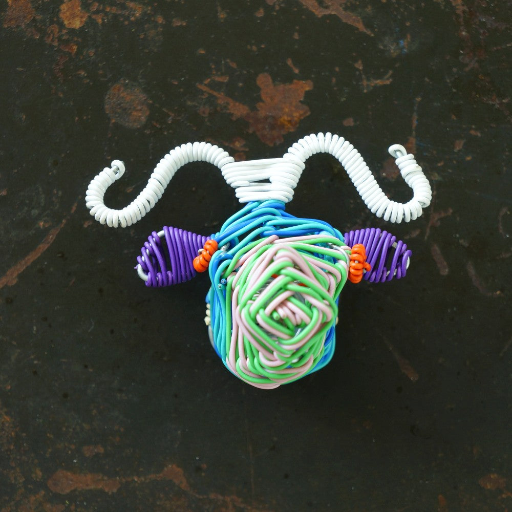 Buffalo Magnet